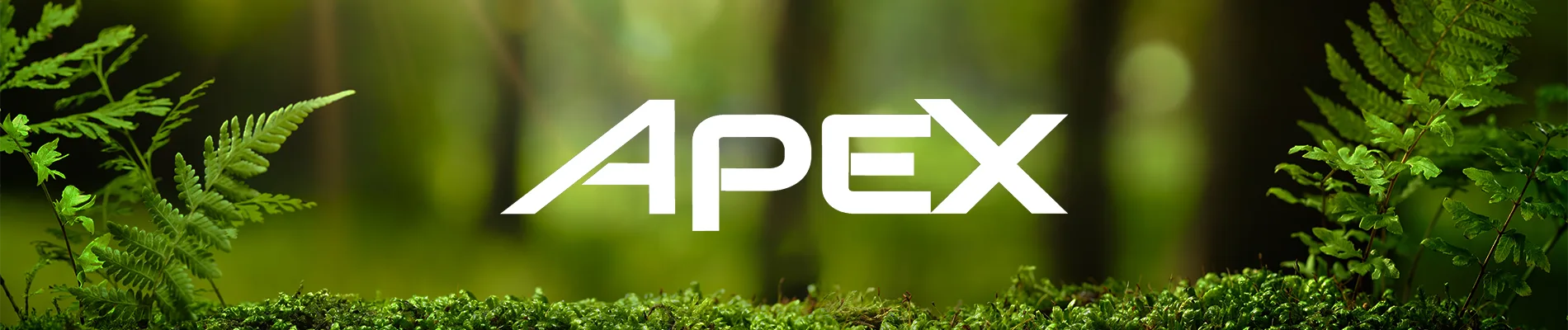 Apex RVs