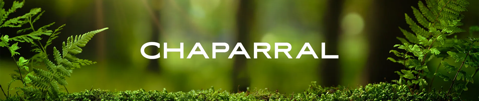 Chaparral RVs